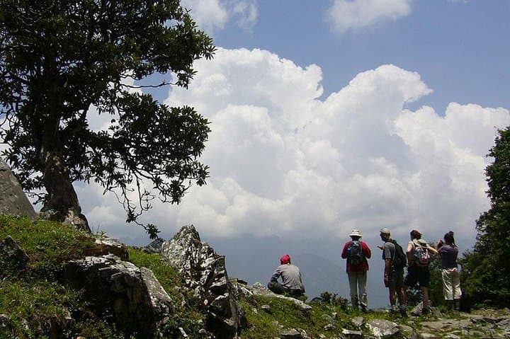 Kuari Pass Trek — 8-Day Himalayan Trek from Rishikesh to Joshimath photo 3