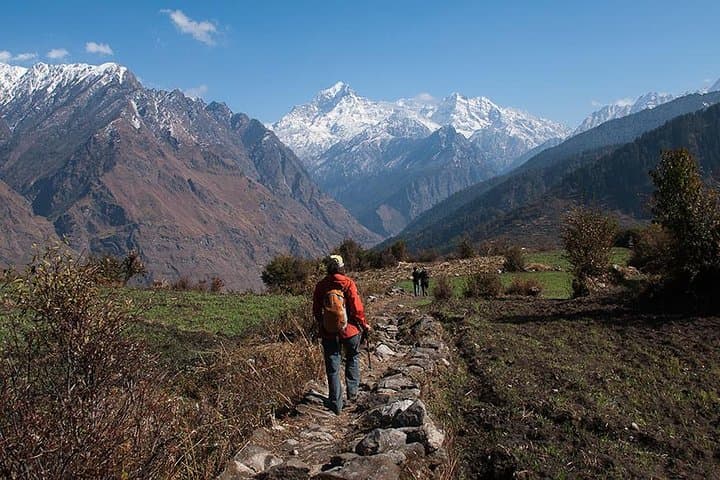 Kuari Pass Trek — 8-Day Himalayan Trek from Rishikesh to Joshimath photo 6