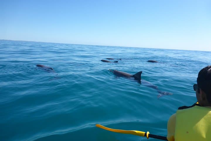 Double Island Point Private Day Adventure: 4x4 Beach Drive, Kayak & Surf