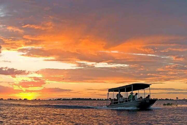 Chobe Camping Safari From Victoria Falls: 3-Day Bush & River Experience photo 6