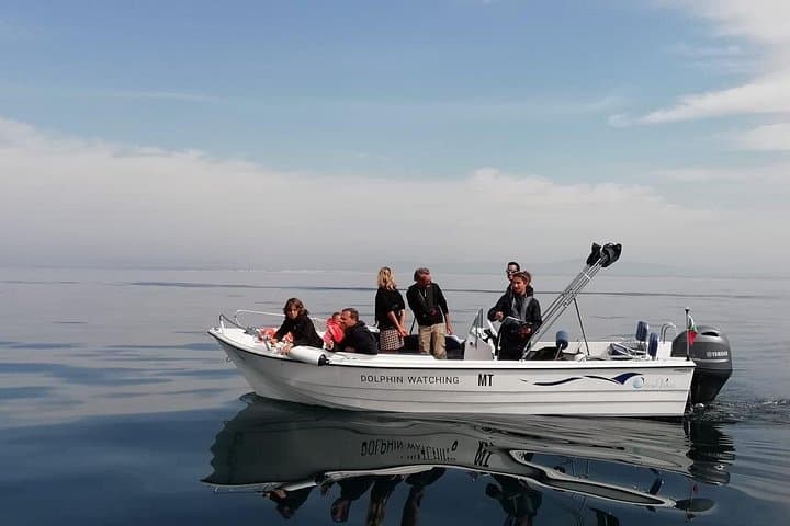 Dolphin and Wildlife Watching Tour from Faro: Ria Formosa to the Atlantic
