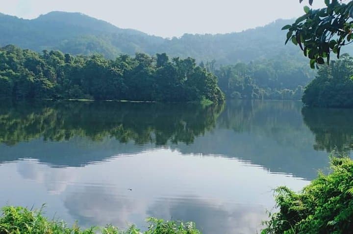 Thattekad Guided Bird Walk at Salim Ali Bird Sanctuary — Morning & Evening Tours photo 2