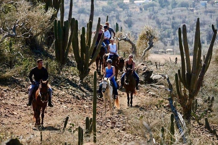 Horseback Ride to Aruba’s Natural Pool (Conchi) in Arikok National Park photo 4