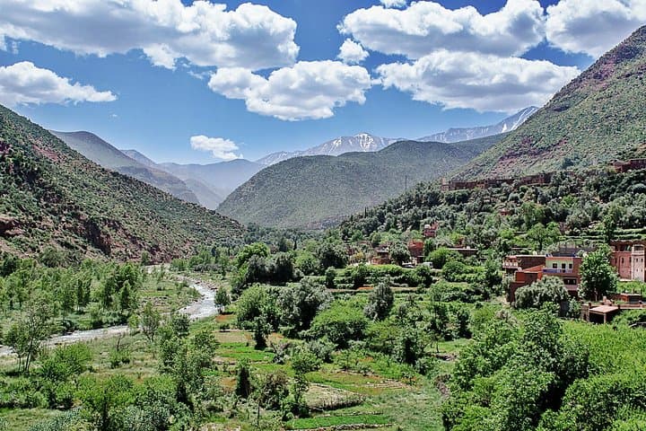 Ourika Valley & High Atlas Day Trip from Marrakesh — Waterfalls, Berber Villages, and Mountain Views photo 4