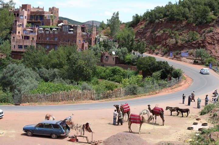 Ourika Valley & Atlas Waterfalls Day Trip from Marrakech photo 3