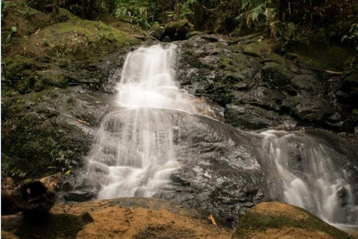 Full-Day Atlantic Forest Waterfalls Hike from São Paulo photo 6