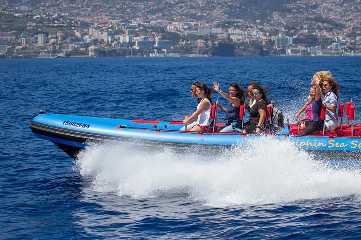 Magic Dolphin Sea Safaris: Funchal Whale & Dolphin Speedboat Tour