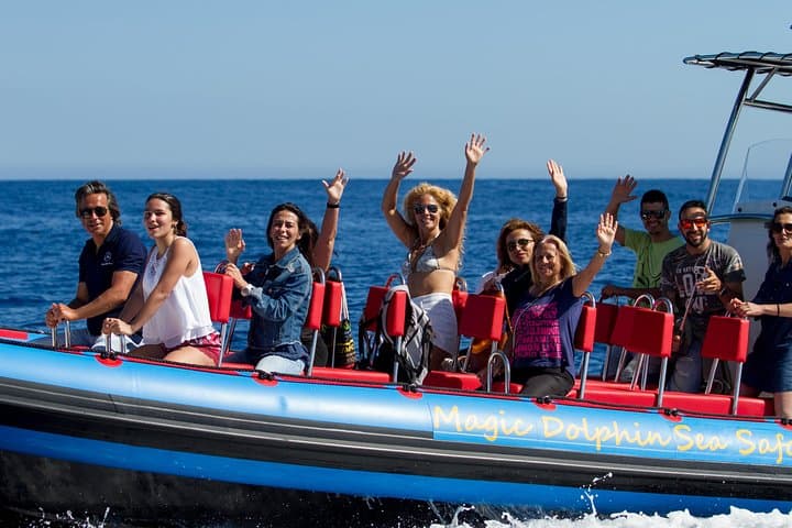 Magic Dolphin Sea Safaris: Funchal Whale & Dolphin Speedboat Tour photo 2