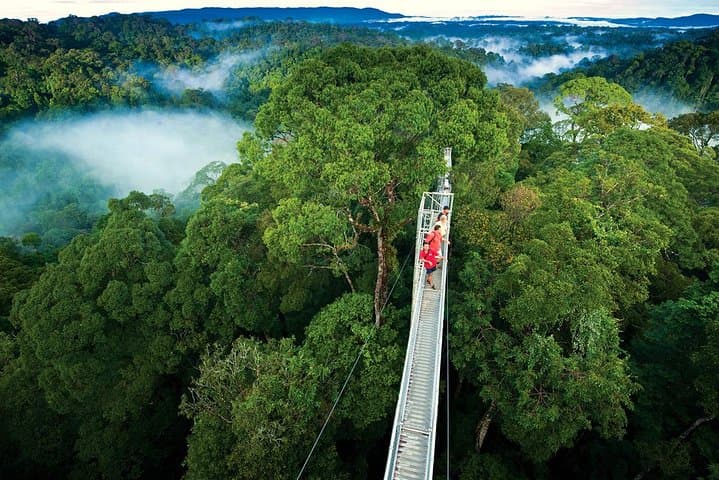 Crossing Costa Rica's Highlands: Private Transfer from Arenal to Monteverde photo 2
