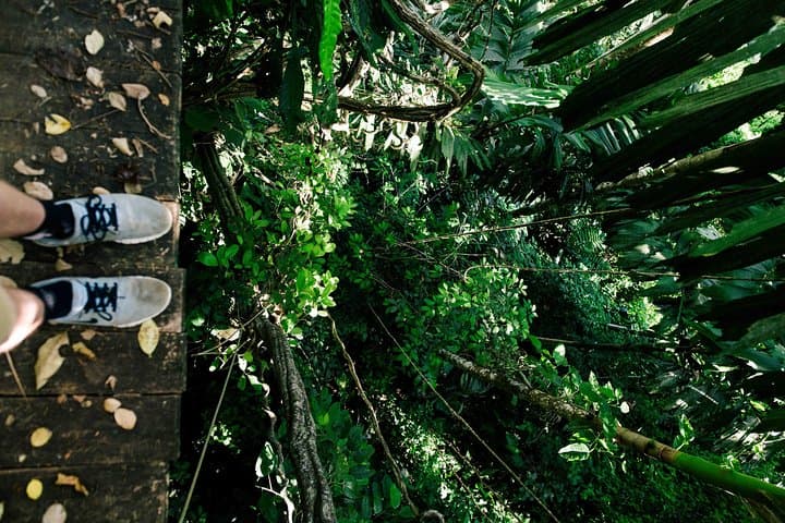 Crossing Costa Rica's Highlands: Private Transfer from Arenal to Monteverde photo 5
