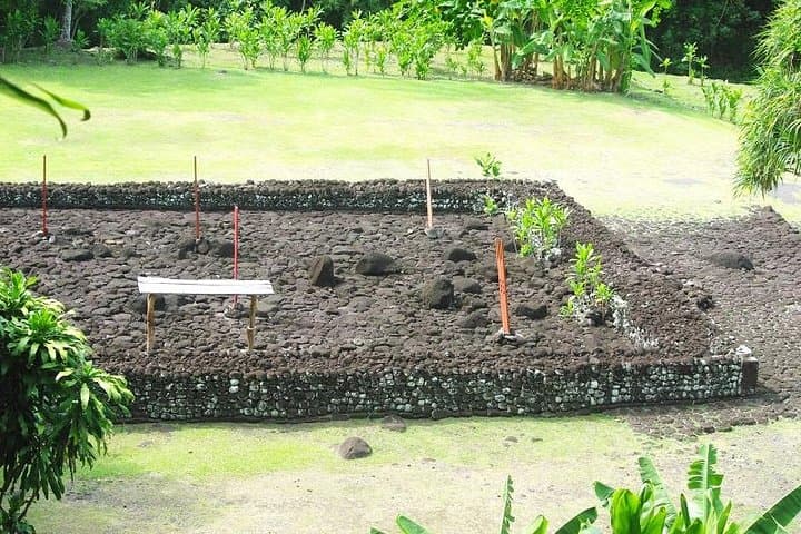 Half-Day Private Tahiti Island Tour: Waterfalls, Grottoes & Point Venus photo 4