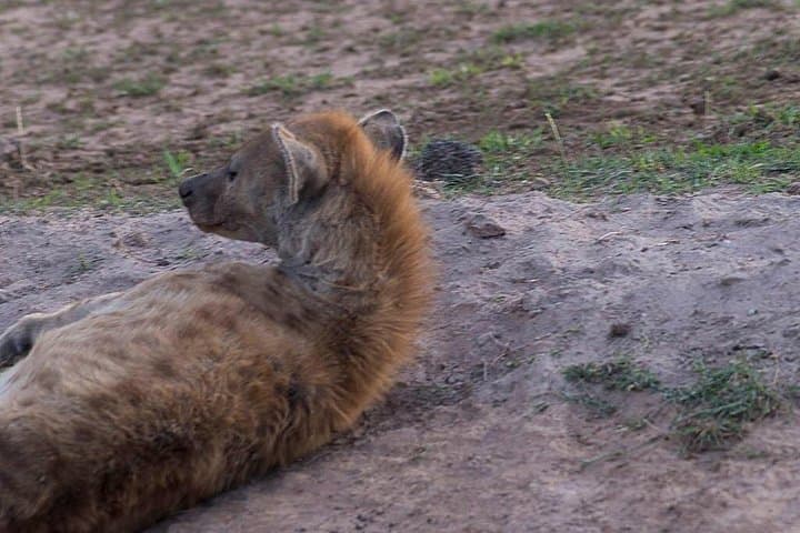 3-Day Tsavo East, Taita Hills & Amboseli Safari from Mombasa photo 4