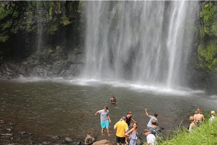 Materuni Waterfalls & Chagga Coffee Tour from Moshi to Kikuletwa Hotsprings photo 3
