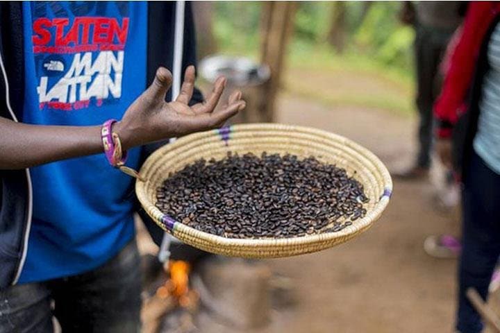 Materuni Waterfalls & Chagga Coffee Tour from Moshi to Kikuletwa Hotsprings photo 4