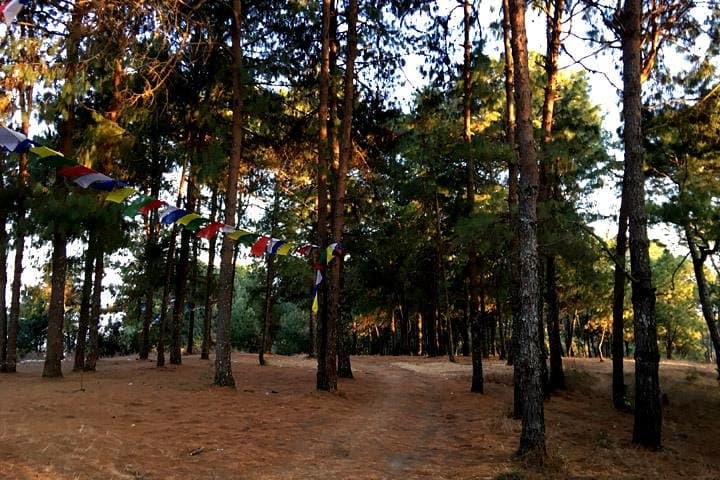 Best Day Hike to Champa Devi Hill — Kathmandu Scenic Himalayan Views photo 3