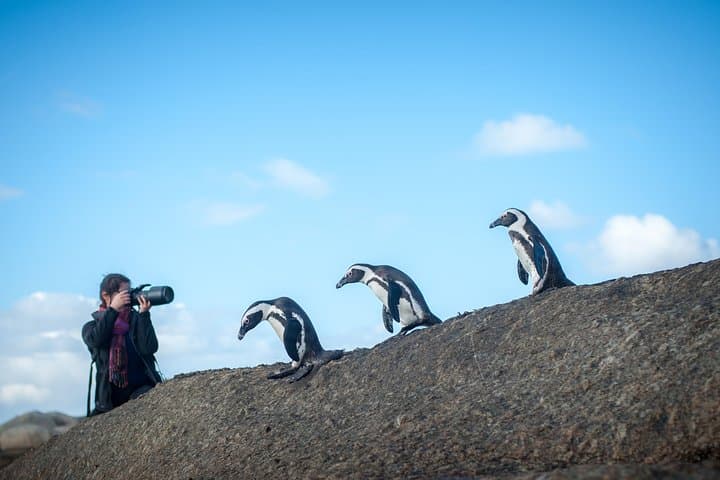 Peninsula Photography Tour — Cape Town Coastal Photography Workshop photo 2