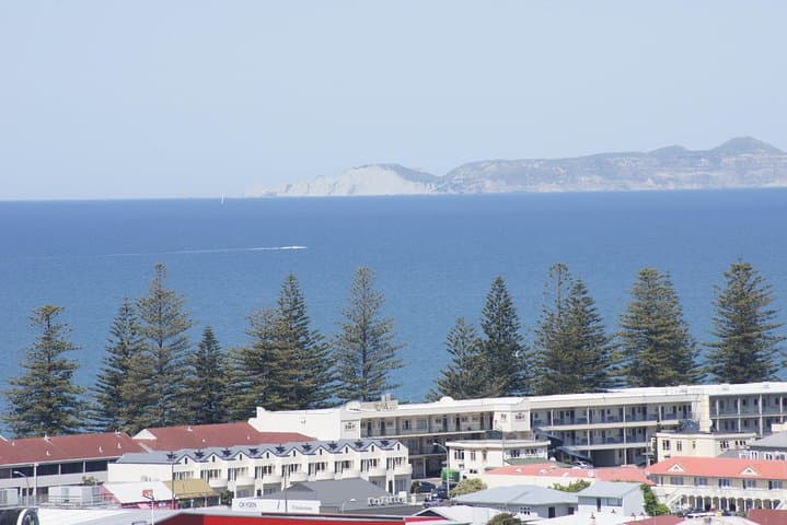 Napier Art Deco and Hawke's Bay Coastal Scenic Shore Excursion photo 4