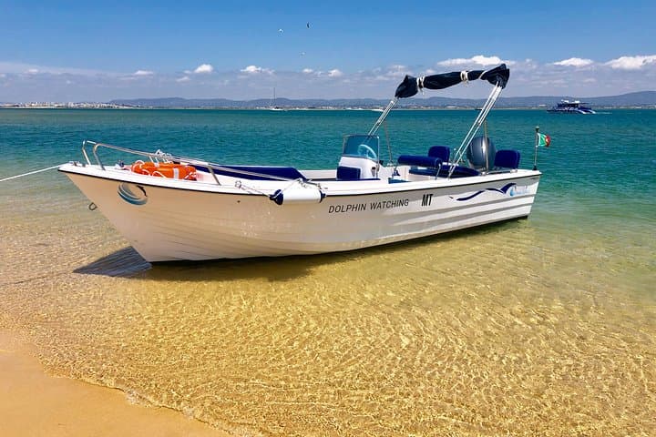 Ria Formosa Islands Tour: Culatra, Deserta & Cabo de Santa Maria from Faro photo 4