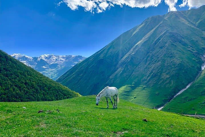 Private Full-Day Kazbegi (Stepantsminda) & Mtskheta Tour from Tbilisi photo 2