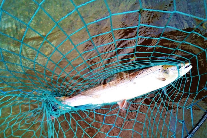 Connemara Atlantic Salmon & Sea Trout Fishing — Full-Day Guided Ghillie Experience photo 3
