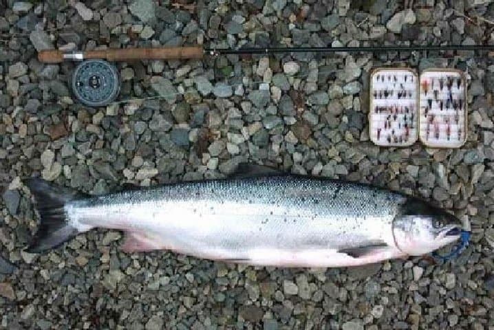 Connemara Atlantic Salmon & Sea Trout Fishing — Full-Day Guided Ghillie Experience photo 1
