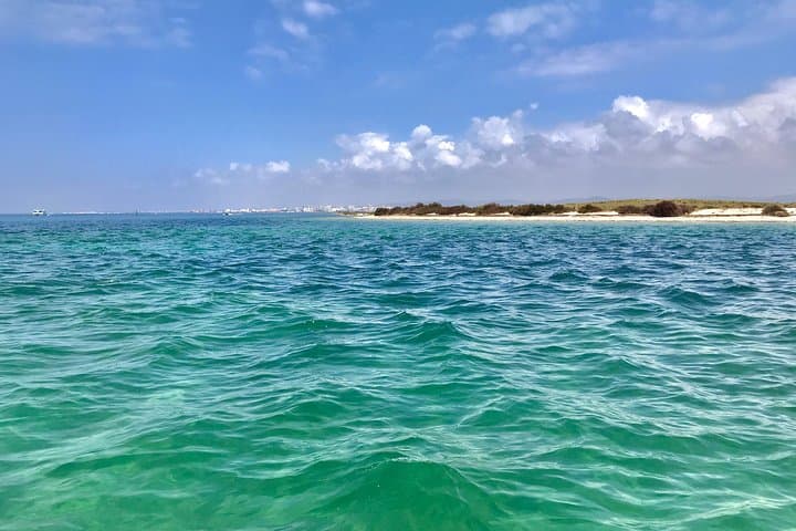 Ria Formosa Islands Tour: Culatra, Deserta & Cabo de Santa Maria from Faro photo 5