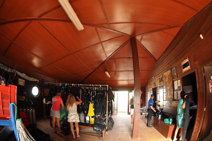 Half-Day Diving in Sal: Wrecks, Walls & Tropical Marine Life photo 2