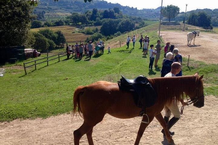 Horseback Riding and Wine Tasting in Montepulciano: Day Trip from Rome photo 1