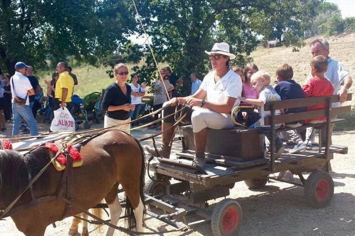 Horseback Riding and Wine Tasting in Montepulciano: Day Trip from Rome photo 4