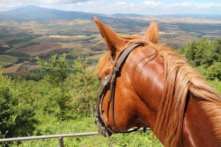 Horseback Riding and Wine Tasting in Montepulciano: Day Trip from Rome photo 2