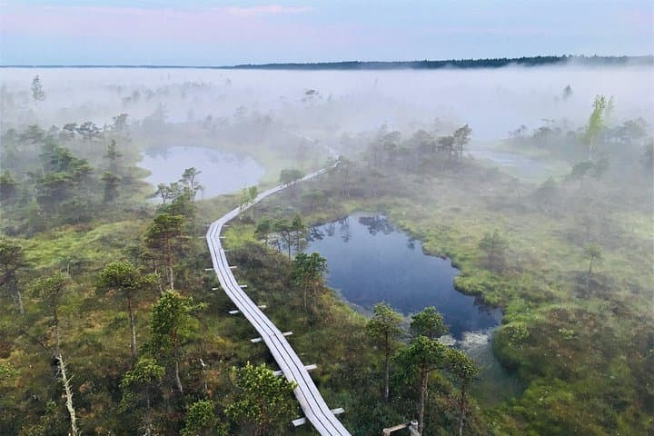 Ķemeri National Park Boardwalk Tour & Smoked Fish Tasting from Jūrmala photo 1