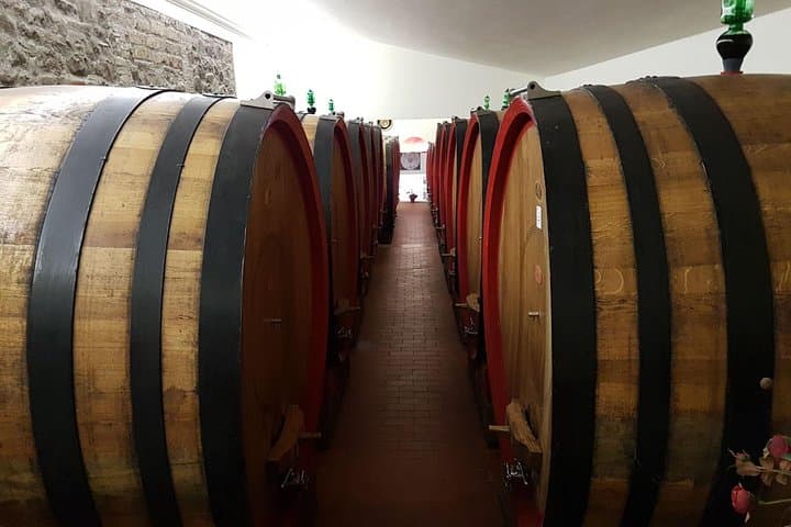 Horseback Riding and Wine Tasting in Montepulciano: Day Trip from Rome photo 3