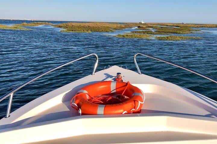 Ria Formosa Islands Tour: Culatra, Deserta & Cabo de Santa Maria from Faro photo 6
