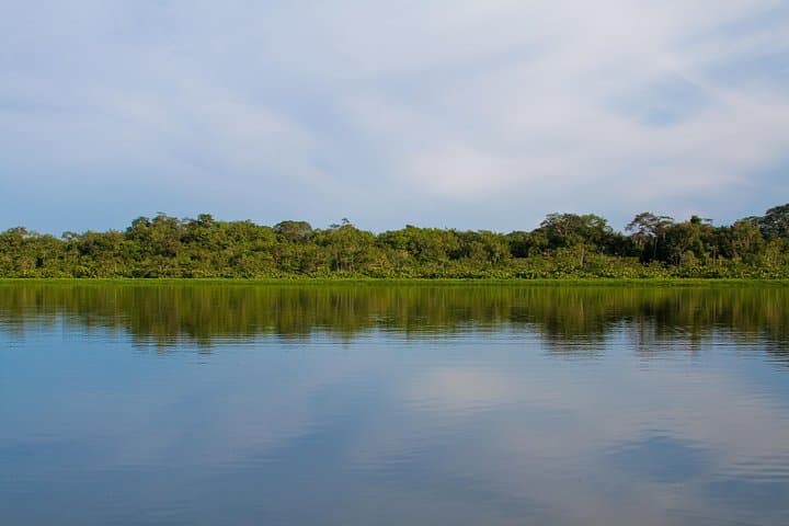 Ecuador Nature Travel: 15-Day Andes to Amazon Cloud Forest & Wildlife Journey photo 2