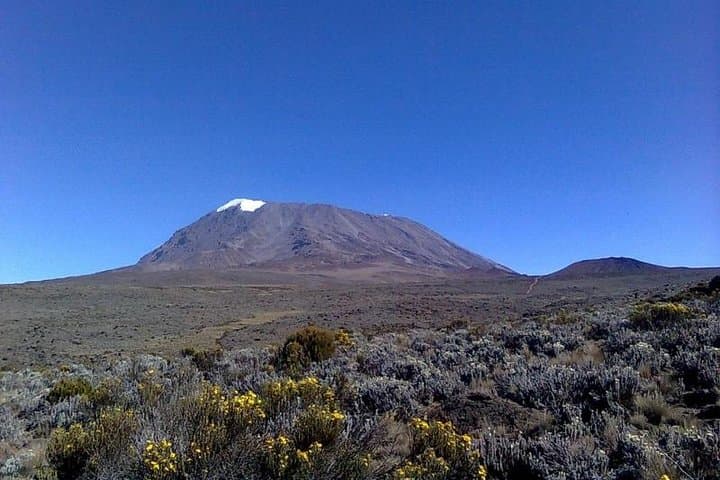 6-Day Machame Route Kilimanjaro Trek from Arusha — Machame to Mweka