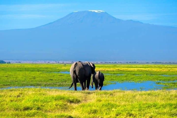 6-Day Machame Route Kilimanjaro Trek from Arusha — Machame to Mweka photo 6