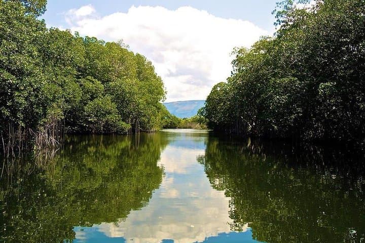 Black River Safari and YS Falls: Full-Day River Cruise and Waterfall Swim from Montego Bay photo 2