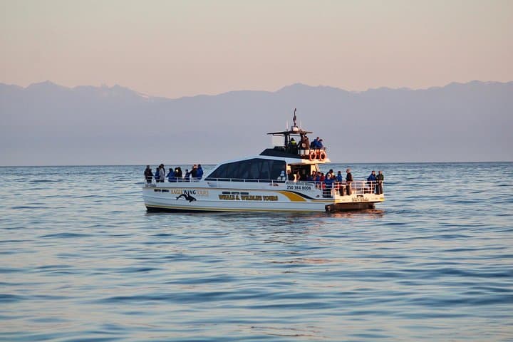 Sunset Whale-Watching from Victoria's Inner Harbour — Semi‑Covered Catamaran Experience photo 2