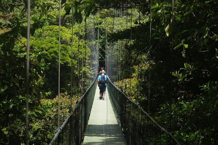 Private Hanging Bridges Tour in Monteverde: Cloud-Forest Canopy Walk