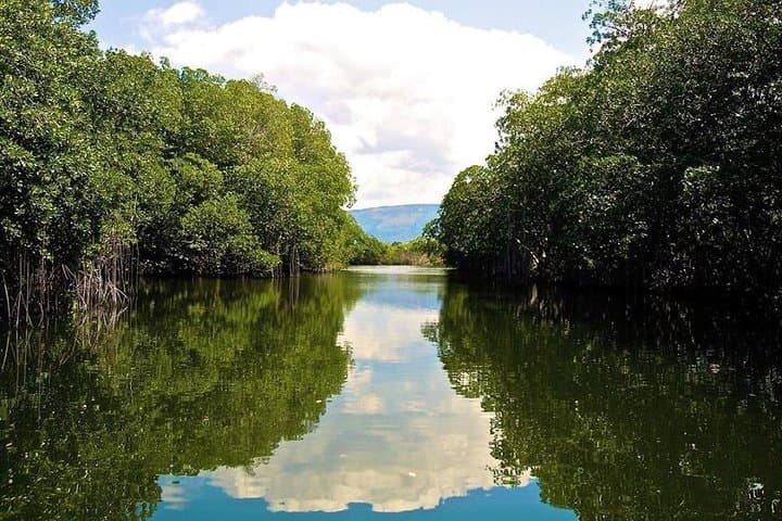 Black River Safari and YS Falls Day Tour from Runaway Bay photo 2