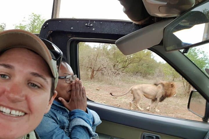 Full-Day Open Vehicle Safari in Kruger National Park: What to Expect