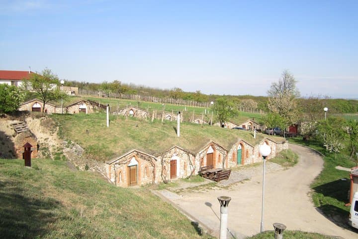 Moravian Wine Trails: Lednice, Valtice & Mikulov Day Tour photo 3