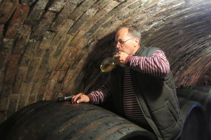 Moravian Wine Trails: Lednice, Valtice & Mikulov Day Tour photo 5
