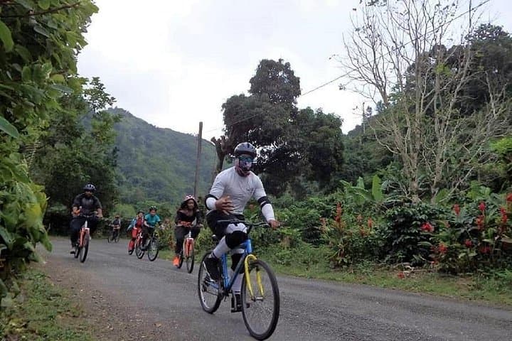 Blue Mountain Bicycle Tour from Kingston — Downhill Ride Through Jamaica's Highlands photo 5