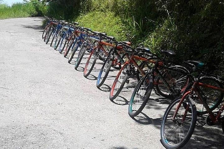 Blue Mountain Bicycle Tour from Kingston — Downhill Ride Through Jamaica's Highlands photo 2