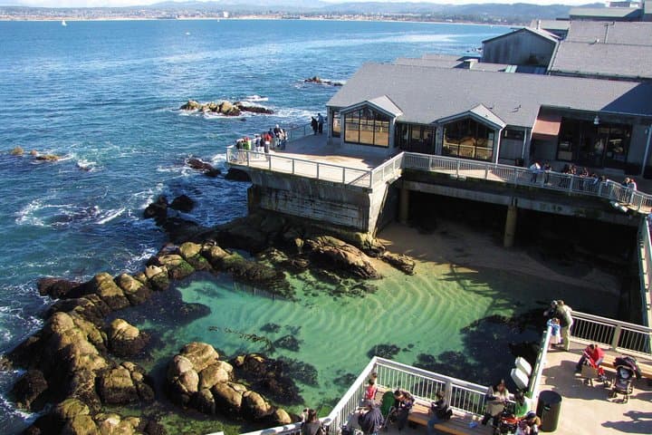 Big Sur & Monterey Coast Day Trip from San Jose — Private 8‑Hour Coastal Tour photo 4