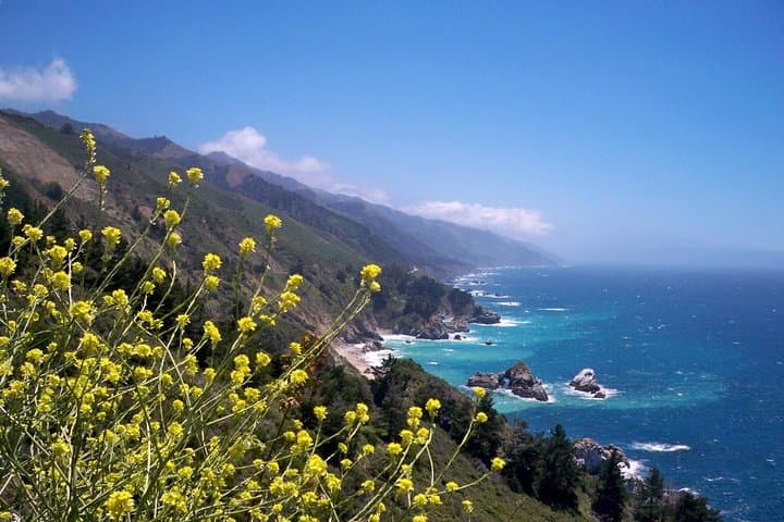 Big Sur & Monterey Coast Day Trip from San Jose — Private 8‑Hour Coastal Tour photo 3