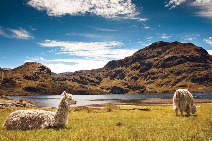 Ecuador Adventure: Cotopaxi, Quilotoa, Baños & Amazon 5-Day Slow-Travel Tour photo 2