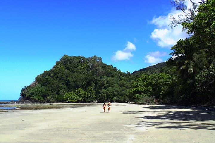 Cape Tribulation Day Tour: Daintree Rainforest, Beaches & Crocodile Cruise from Cairns