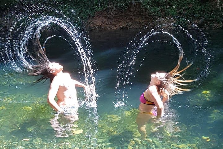 Cape Tribulation Day Tour: Daintree Rainforest, Beaches & Crocodile Cruise from Cairns photo 4